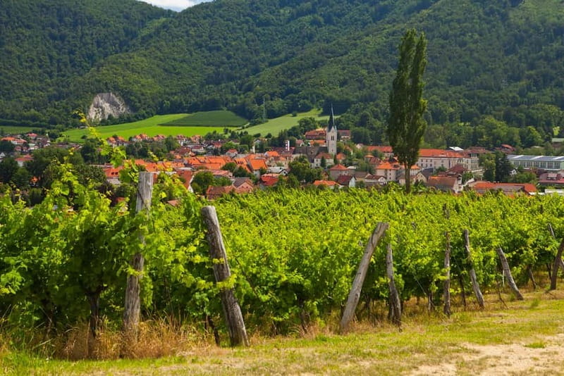 Maribor & Styria Tour with Wine Tasting - Why Eastern Slovenia Makes a Good Day Trip
