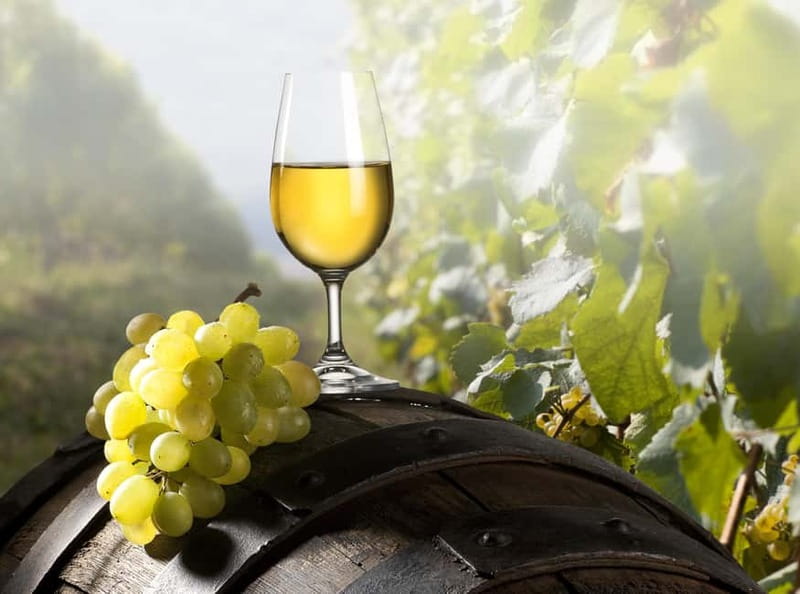 Maribor & Styria Tour with Wine Tasting - Entering Maribor Along the Drava River