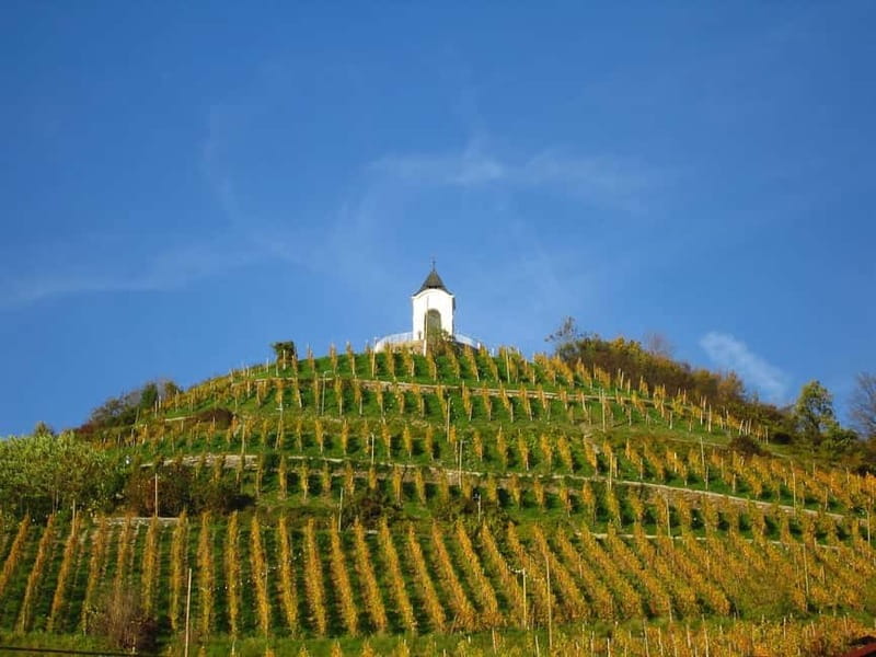 Maribor & Styria Tour with Wine Tasting - Is the $123 Price Good Value?