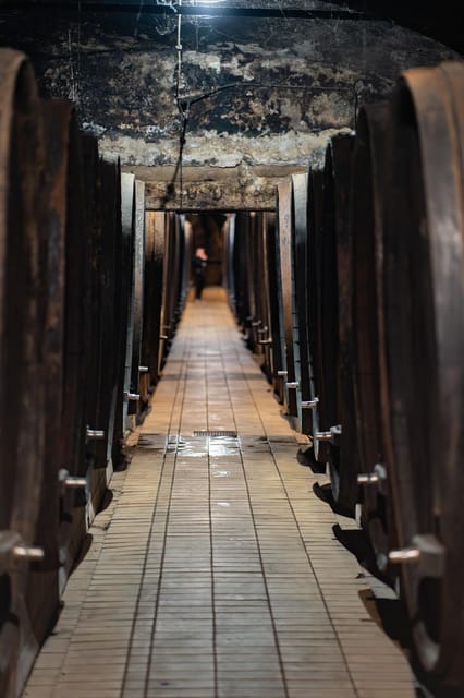 Maribor: Vinag Wine Cellar Tour with Wine tasting and snacks - Key points at a glance