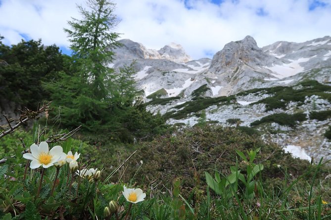 Mighty Mount Triglav Climb-summer Special-join Group - The final climb with helmet, harness, and via ferrata gear