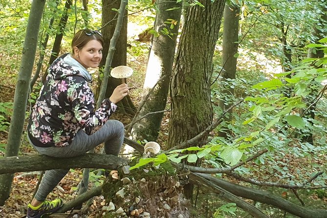 MUSHROOM FORAGING TOUR in sLOVEnia - Price, timing, and what the value means