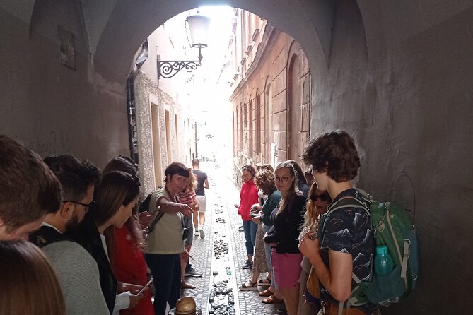 Old Town and Castle Group Tour in Ljubljana - Inside Town Hall and its old sgraffito art