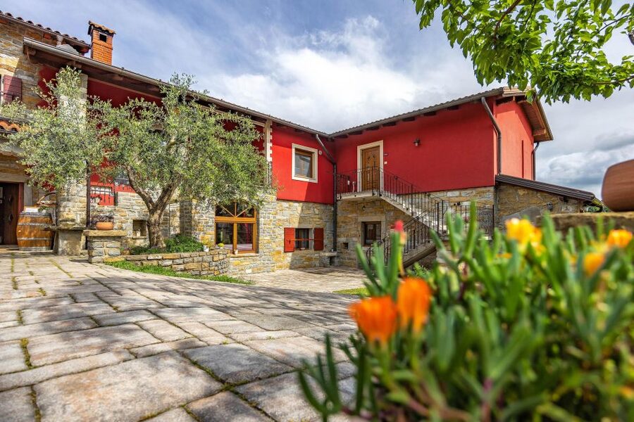 Olive Oil Tasting a Journey of Flavors and Aromas - A small farm shop with practical souvenirs