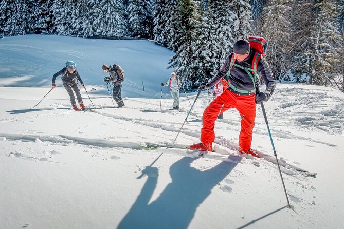 One Day Ski Touring Workshop - Who should book this workshop