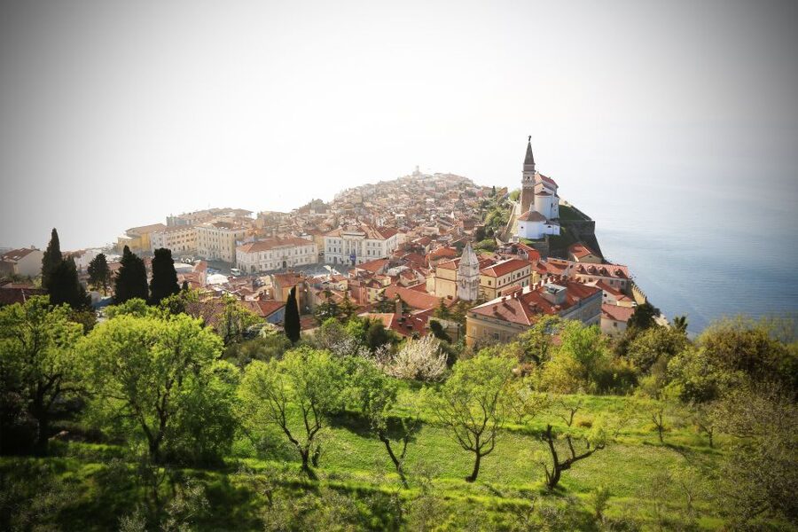 Panoramic Piran and Salt Pans: E-Bike Boutique Tour - Wine, Karst food, and the final viewpoint