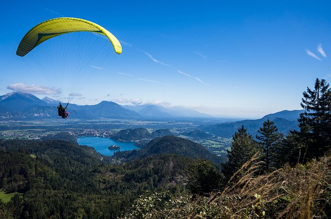 Paragliding Lake Bled - Is $204.26 a fair price?