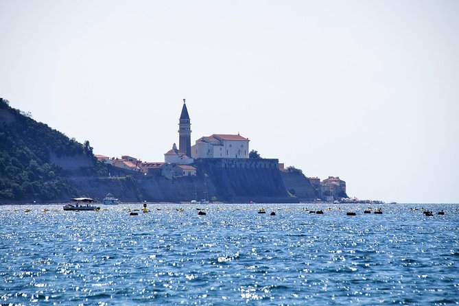 Piran and Portoroz Pearls of the Slovenian Adriatic Coast Half Day Trip from Ljubljana - The guide and the small-group advantage