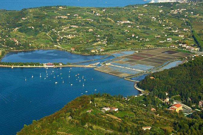 Piran and Scenic Slovenian Coast-Private Experience from Koper - Strunjan’s salt fields and a quieter coastal view
