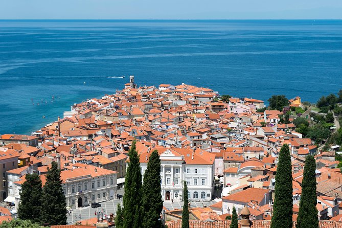 Piran Old Town Walking Tour - Starting near Caffe Neptun and finding your bearings