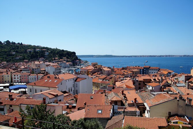 Piran & Panoramic Slovenian Coast - Small Group Tour from Koper - What the $107.23 price really covers