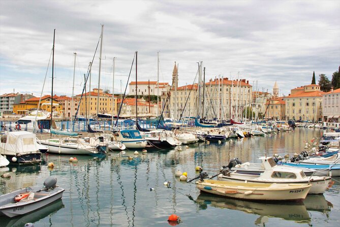 Piran & Panoramic Slovenian Coast - Small Group Tour from Koper - Pickup details for cruise passengers and hotel stays