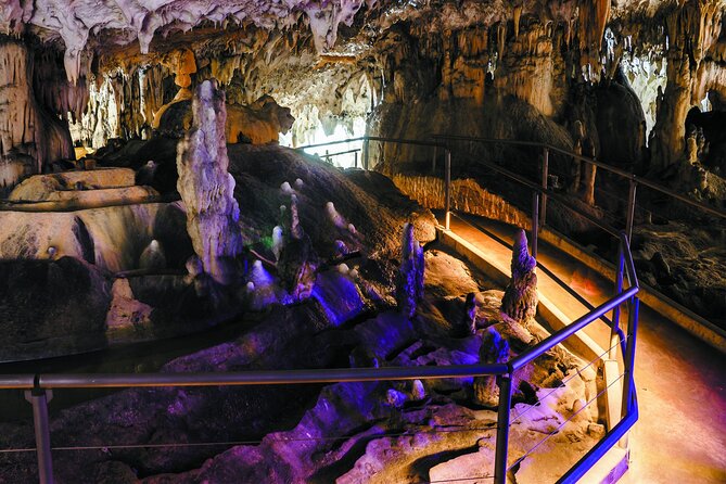Postojna Cave and Predjama Castle - Entrance Tickets Included - Key points to know before booking