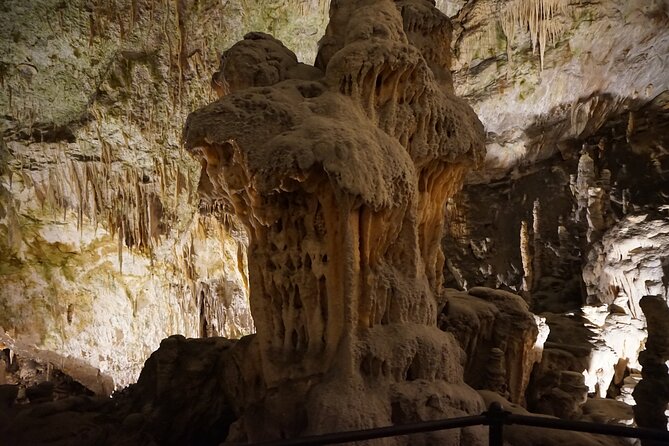Postojna cave and Predjama castle Tour from Ljubljana - Who should book this experience?