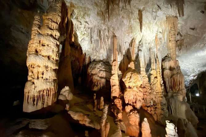 Postojna Cave Day Trip From Ljubljana - Booking advice that can prevent surprises