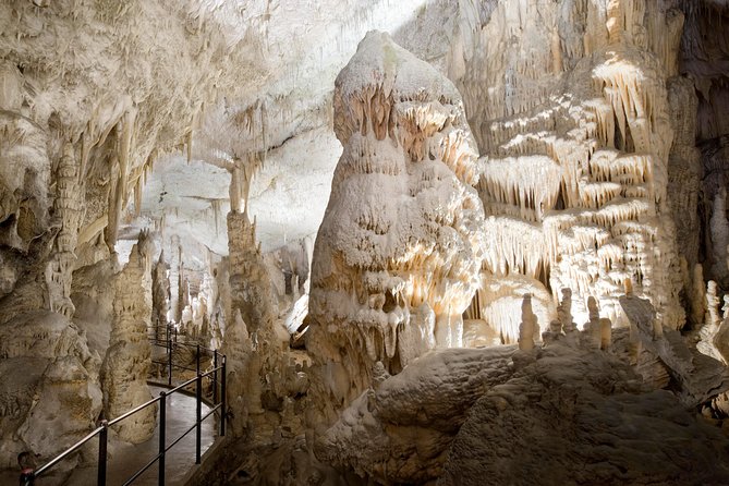 Postojna cave, Predjama castle and Lake bled from Ljubljana - Inside Postojna Cave: 90 minutes underground