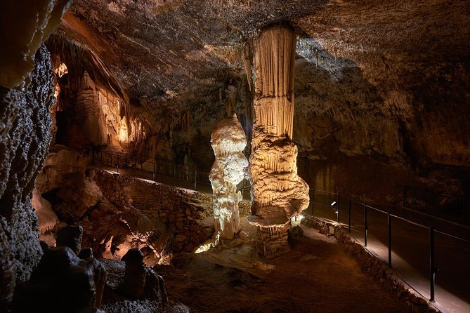 Postojna Cave & Predjama Castle - Shore Excursion from Koper - Who should book this experience