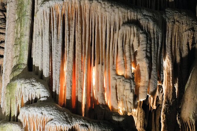 Postojna Cave & Predjama Castle Tour (up to 8 persons) - Who should book this outing?