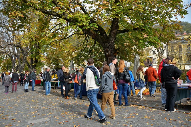 Private Ljubljana culinary tour - Private touring and the pace of three hours