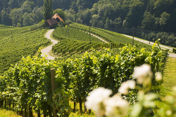 Private Maribor, Ptuj & Wine Road from Ljubljana - What the private format adds