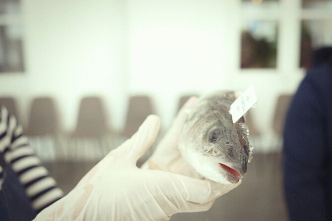 Private Mediterranean Fish Cooking Workshop with Irena - Meeting Irena at Fonda Fish Garden