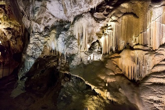 Private Postojna Cave & Predjama Castle Tour from Ljubljana - Postojna Cave: the main event