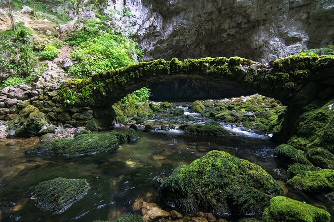 Private Postojna Cave & Predjama Castle Tour from Ljubljana - The guide question you should settle first