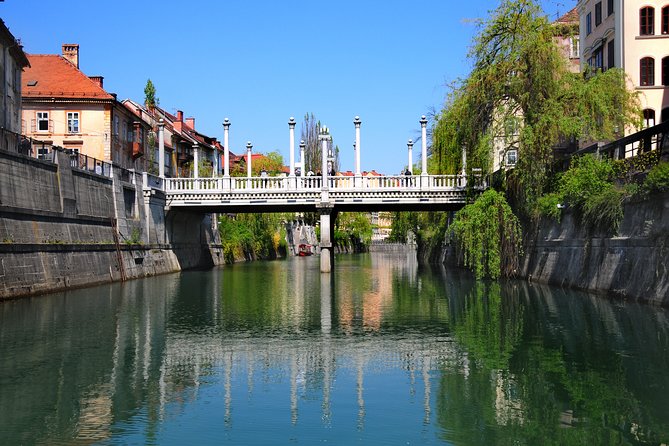 Private Walking Tour of Ljubljana Old Town - Guides who make the city easier to understand