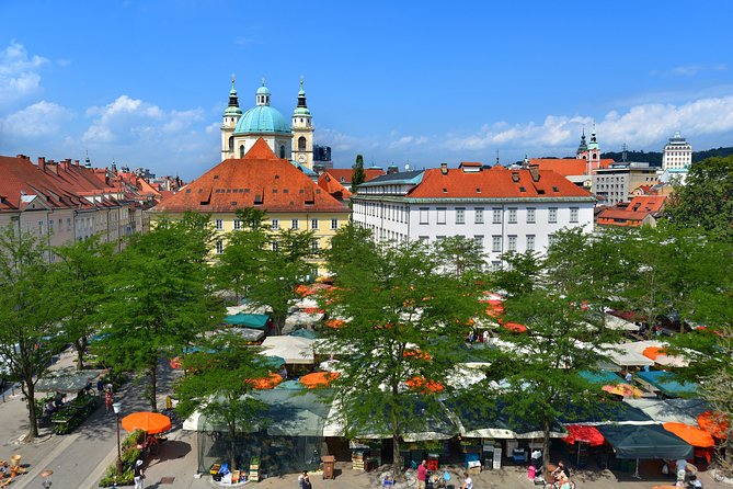 Private Walking Tour of Ljubljana Old Town - Booking timing and cancellation
