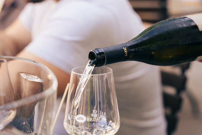Private Wine Tasting Experience in Ljubljana - Key points at a glance