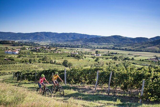 Secret vineyards E-bike tour - Key points at a glance