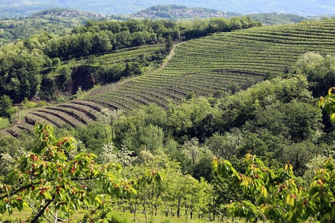 Secret vineyards E-bike tour - Vipavski Križ, the tour’s best pause