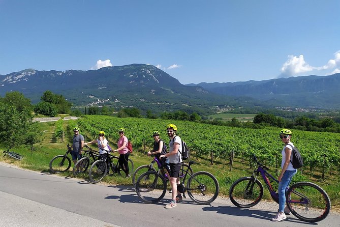 Secret vineyards E-bike tour - Local wine, including Zelen and Pinela