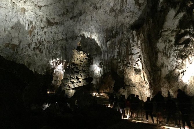 Skocjan Cave Day Trip From Ljubljana - The 8:30 am pickup from Ljubljana