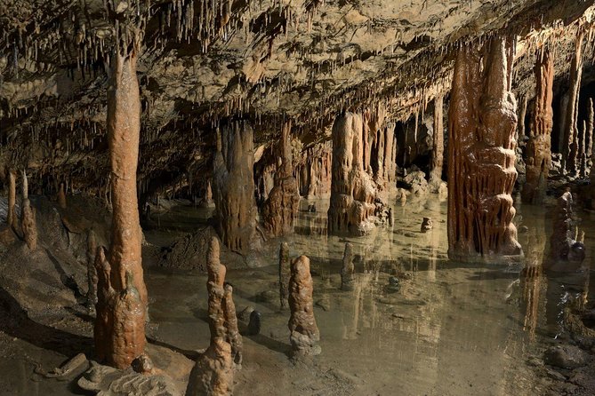 Skocjan UNESCO Caves and Piran full day tour (small group, max. 8) - Why this makes a strong Ljubljana day trip