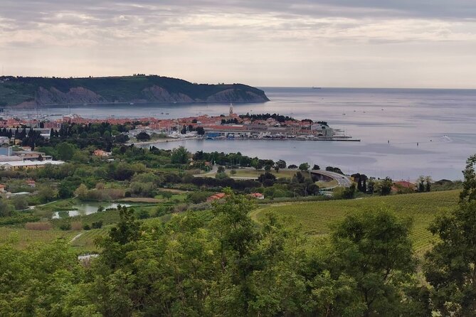 Slovenian coast Koper, Izola, Piran - Parenzana electric biking tour from Koper - What the $259.06 price really includes