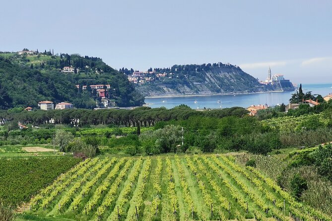 Slovenian coast Koper, Izola, Piran - Parenzana electric biking tour from Koper - The Strunjan climbs and Moon Bay views