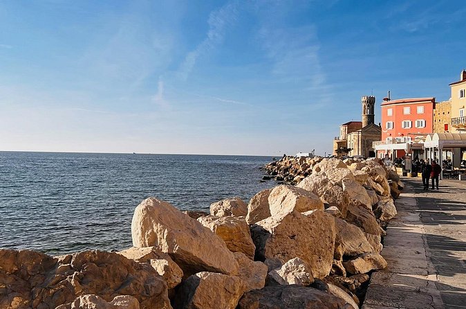 Slovenian Coast & Wine Private Tour with Tastings from Ljubljana - What $241.97 per person really buys