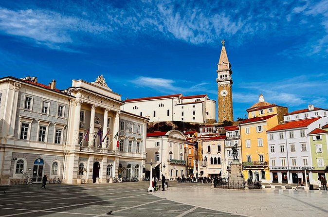 Slovenian Coast & Wine Private Tour with Tastings from Ljubljana - Timing, comfort, and practical planning