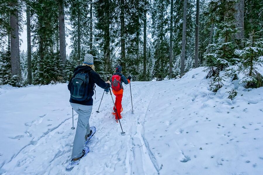 Snowshoeing in Triglav National Park - Leaving Bled for a snowy national park