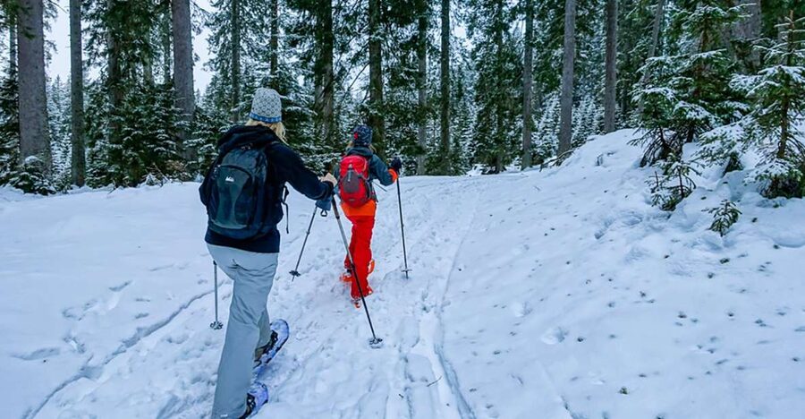 Snowshoeing in Triglav National Park - Following the trail into remote countryside