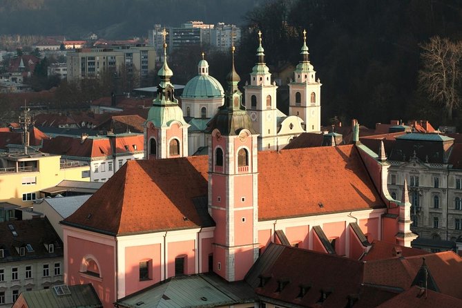 The Ljubljana's Cathedral Tour (St. Nicolas Church) - Five details that make this tour worth considering