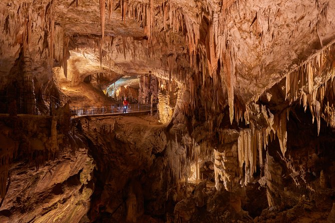Tour to Postojna and Predjama Castle from Koper - Practical tips for a smoother visit