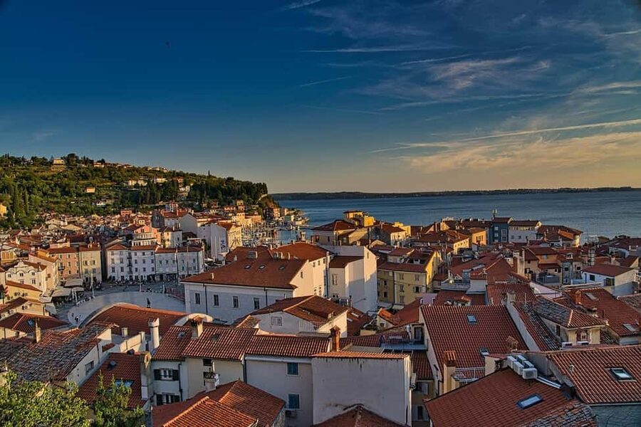 TRIESTE: Slovenian Coast Tour with Food and Wine Tasting - Key points at a glance