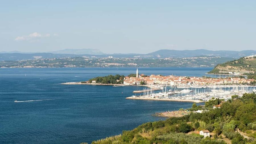 TRIESTE: Slovenian Coast Tour with Food and Wine Tasting - Why this half-day trip works from Trieste