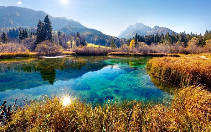 Triglav National Park and the Alps Private tour - Zelenci Nature Reserve, where the water does not freeze
