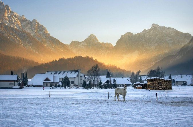 Triglav National Park and the Alps Private tour - What the $757.43 group price really means