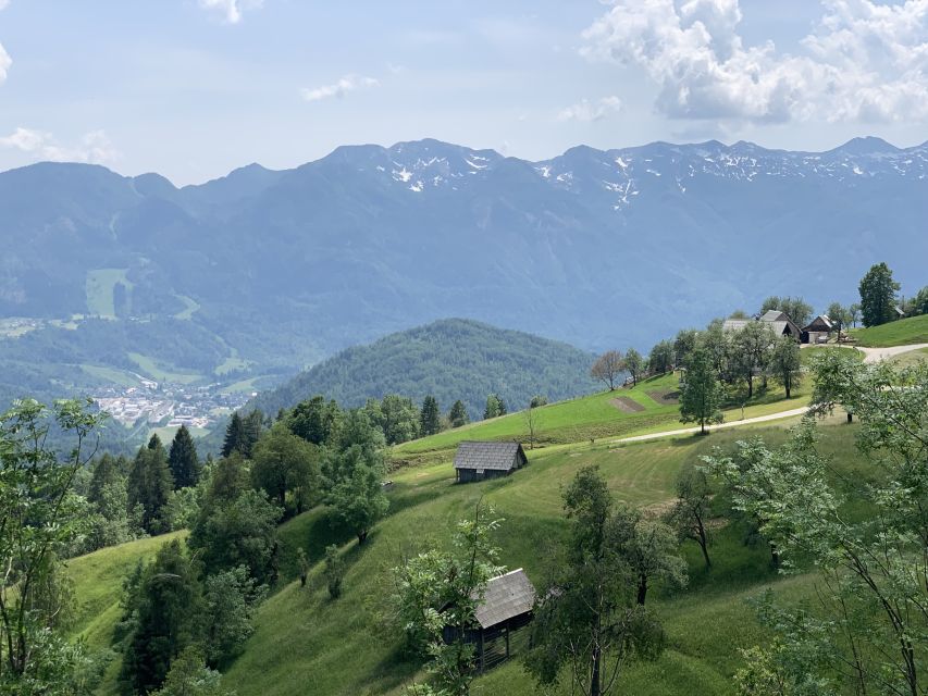 Triglav National Park Tour from Bled - Zelenci and Jasna show two sides of the Kranjska Gora area