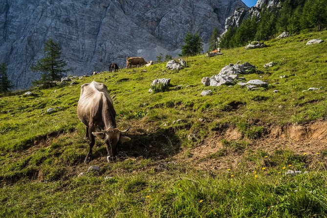 Triglav tour in 2 days Slovenia - The early climb to Mt. Triglav