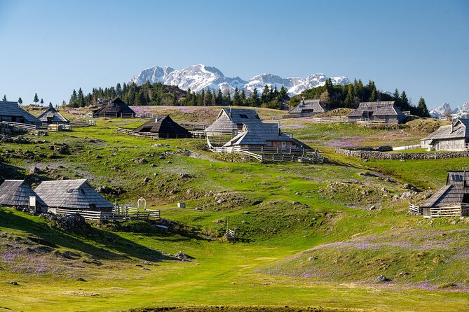 Velika Planina Guided Hike from Ljubljana - Key points to know before booking
